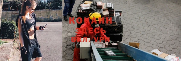 эйфоретик Вязьма
